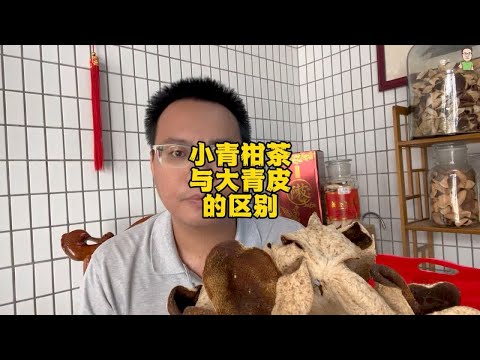 小青柑茶与青皮的区别，采摘时间不一样，口感醇香度不一样