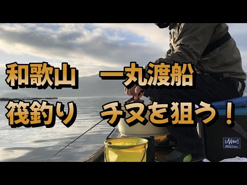 和歌山県、一丸渡船の筏、かかり釣り、食い渋りチヌに挑戦！はたして結果は！