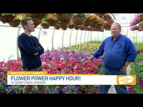 Darby Creek Nursery - Flower Power Happy Hour 042221