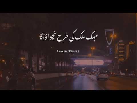 Mehak Malik Ki Tarha Nachwao Ga ✌🏻🔥 Attitude Poetry In Urdu