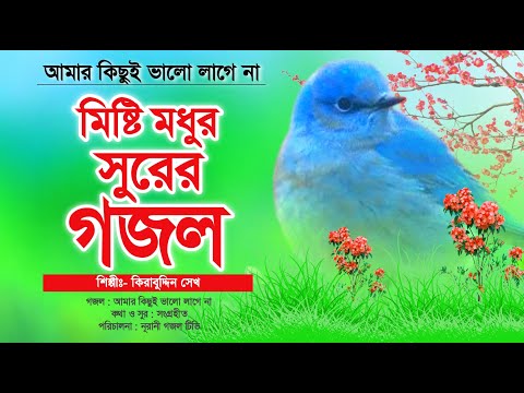 মিষ্টি মধুর সুরের মন প্রাণ উজাড় করা গজল || আমার কিছুই ভালো লাগে না  || Amar Kichui Bhalo Lagena