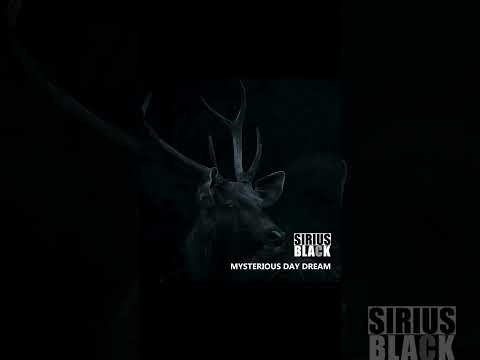 Mysterious Day Dream | Sirius Black SL  #music #underground #undergroundmusic #progressive #techno