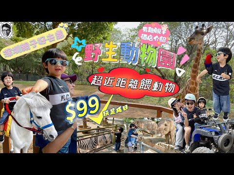 深圳親子好去處｜深圳野生動物園🐒$99入場超抵😍｜深圳機動遊戲｜深圳親子遊｜深圳親子好去處｜深圳美食｜福田口岸｜親子酒店介紹｜多種動物近距離接觸｜餵老虎🐯