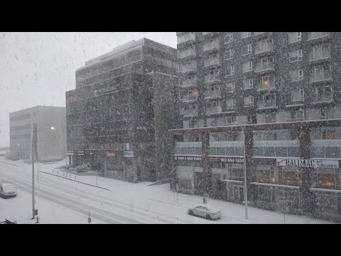 Snow Storm in Halifax | Snow storm in Nova Scotia today | Snow Storm in Canada today | Winter Storm