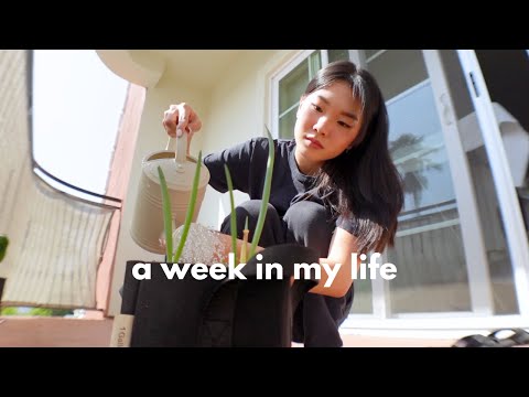 week in my life │ simple days at home as a homebody, cooking homemade meals, horror nights