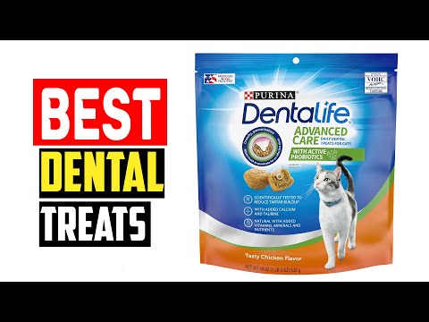 ✅Top 5 Best Dental Treats for Cats in 2024