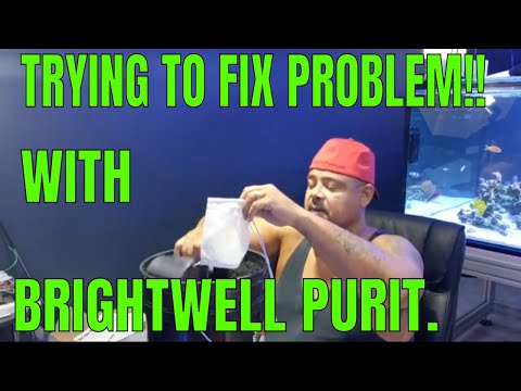 Corals Are Dying! I will use brightwell purit to help fix problem