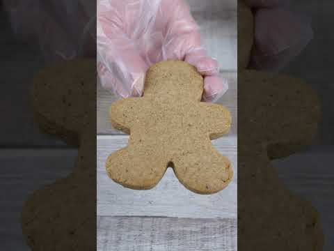 Vegan Gingerbread Cookies / No Egg No Milk No Butter Cookies #egglesscookies  #airfryercake