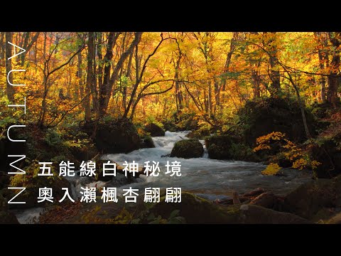 ☼1分鐘亮點☼日本東北奢華楓情：鐵道、美食、風景、溫泉，一探白神山地自然遺產的神秘，銀山溫泉悠閒緩步，日本賞楓首選—奧入瀨溪流｜仙台｜山形｜秋田｜青森