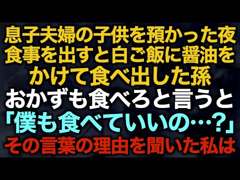 【スカッとする話】息子夫婦の子供を預かった夜食事を出すと白ご飯に醤油をかけて食べ出した孫…おかずも食べろと言うと「僕も食べていいの…？」その言葉の理由を聞いた私は【修羅場】