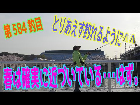 釣り動画ロマンを求めて 584釣目