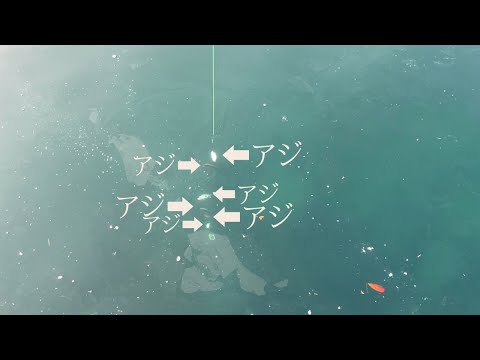 暑い夏は少し早起きして豆アジ専用サビキを使ってアジを爆釣させよう