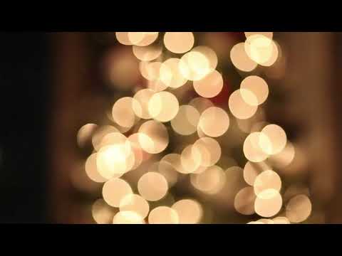 Christmas Tree! | Copyright Free Video Footage