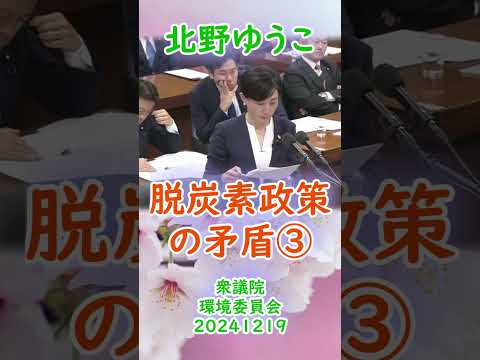 参政党【北野ゆうこ】衆議院環境委員会20241219【脱炭素政策の矛盾③】