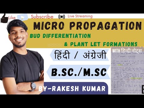 micropropagation।shoot bud differentiation and plantlet  formations #bsc #mscbotany #botany_notes