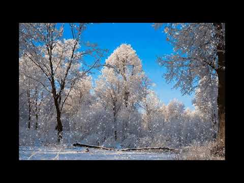 С ПЕРВЫМ ДНЁМ ЗИМЫ/ НАИЛУЧШИЕ ПОЖЕЛАНИЯ.