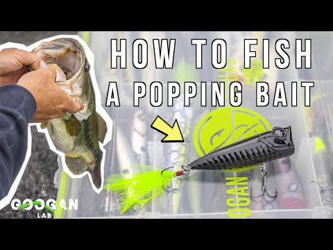 HOW TO FISH a POPPING Style BAIT! ( GOOGAN HOUND )