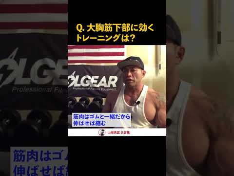 【筋トレ】大胸筋下部のトレーニングについて、世界チャンプが解答！【山岸秀匡】