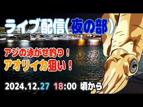 【アオリイカ】アジの泳がせ ウキ釣り ライブ配信【夜の部】（20241227）