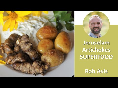 How to Grow Jerusalem Artichokes in Your Permaculture Landscape by Rob Avis