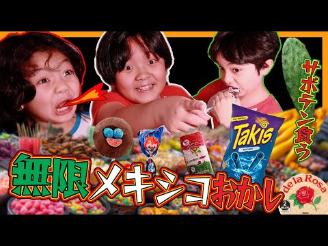 【神回】メキシコのおかしが珍しすぎる!! サボテンも食べる!!! (英語学習)