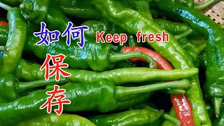 非常好的辣椒保鲜保存方法 FoodSaver