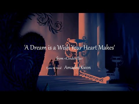 'A Dream is a Wish Your Heart Makes' Male Cover