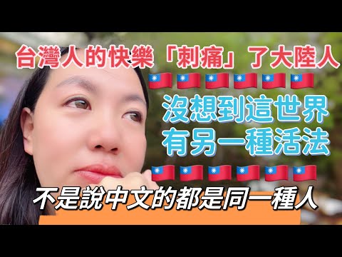 台灣人的快樂「刺痛」了我，原來不是說中文的都是同一種人，沒想到世界上有另一種活法