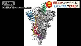 新型コロナの構造初判明　ワクチンなどの開発に期待(20/02/20)