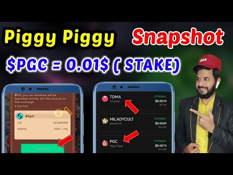 Piggy Piggy $PGC =0.01｜ Tomarket 🍅 Listing Value ｜ Stake Pgc token ｜ PGC snapshot Airdrop 💵