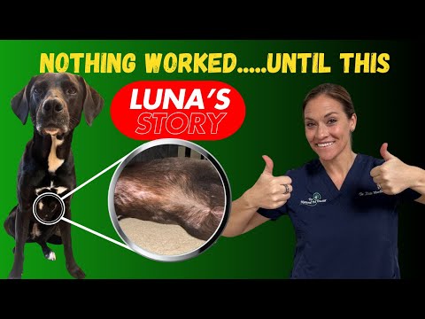 How We Healed a Dog's Chronic Diarrhea and Skin Issues Naturally | Holistic Pet Care