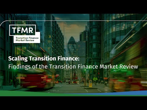 Councillor Irem Yerdelen discusses the Transition Finance Market Review