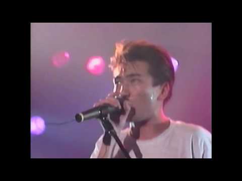 THE MINKS - 17才のレオ'90