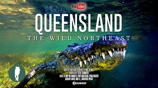 Australia’s Wild Northeast | Wildlife Documentary 4K | Queensland Animals and Landscapes