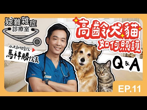 高齡毛孩怎麼照護｜疑難雜症診療室  Feat. 馬祥勝院長