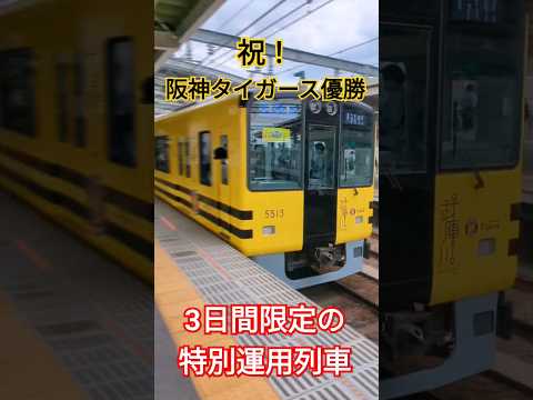 【優勝】3日間限定の特別列車