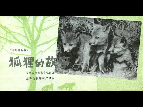 【高清译制片】1978《狐狸的故事 Story of the Northern Fox》日本电影 1080P（上海电影译制厂）