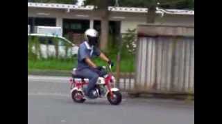 HONDA Z50M first Monkey 1308040300 ホンダ モンキー k