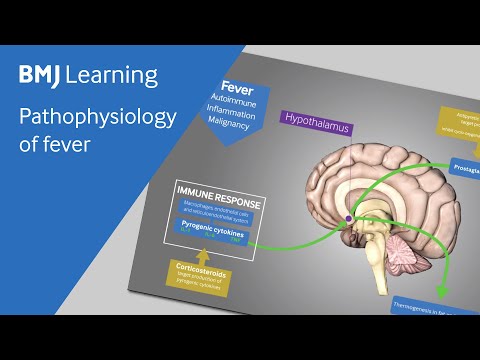 Pathophysiology of fever explained