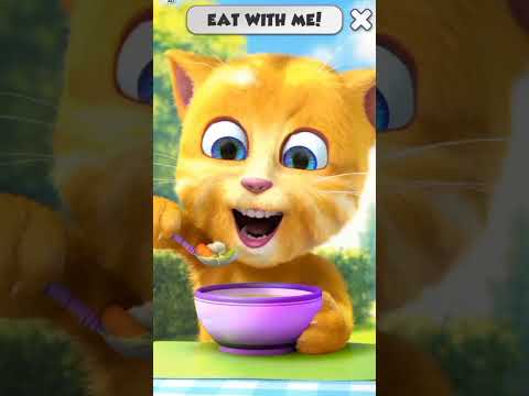 #newfunnyvideo #shortvideo New Funny Cat #newfunnyvideo