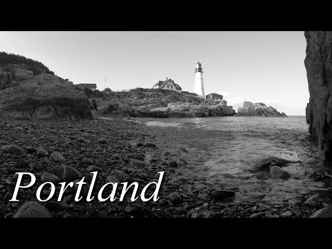 Back To Portland | TrackTribe