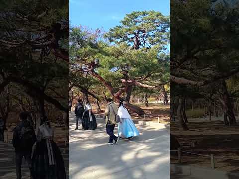 Gyeongbokgung Palace