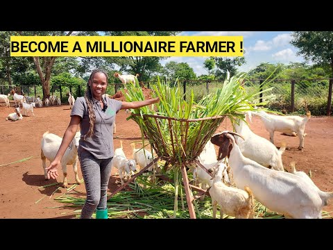 Top Underrated Farming Business Ideas That Make MILLIONS! | DETAILED