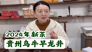 【2024年新茶】贵州乌牛早龙井少量到货！一起喝喝看～