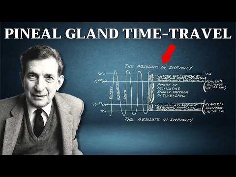 Your Pineal Gland Is the Key to Time Travel (Only a Few Know This Truth)