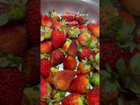 Strawberrylicious in every bite. #fypシ゚viral #everyone #strawberries #highlights #shortstrending