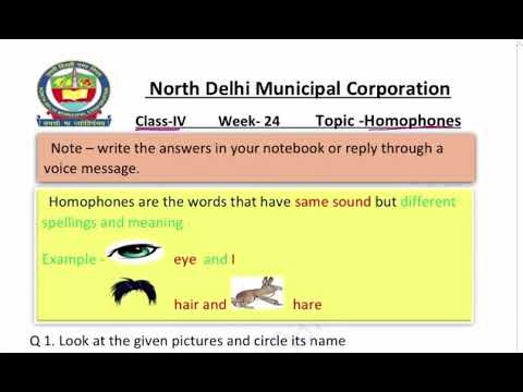 Class 4 English | Homophones | Week 24 | FirstStep | worksheet solution