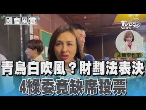 青鳥白吹風?財劃法表決 4綠委竟缺席投票#國會風雲｜TVBS新聞