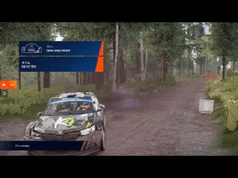 WRC Generations – The FIA WRC Official Game_20241208084632