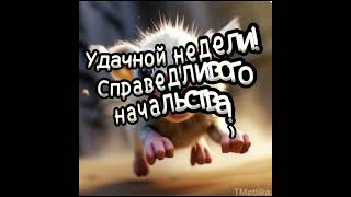 #спонедельником #прикол #проработу #начальник #доброеутро#ржака #shorts